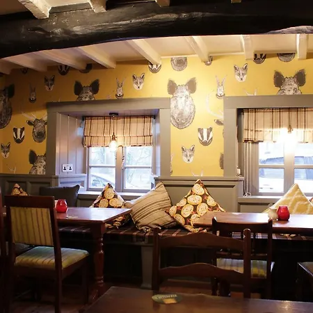 Отель The Fountaine