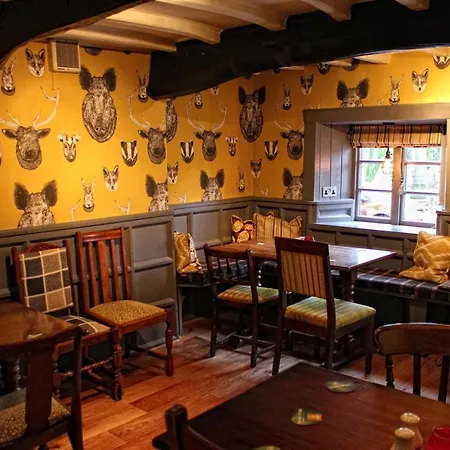 Отель The Fountaine